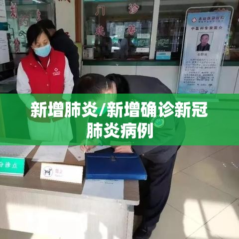 新增肺炎/新增确诊新冠肺炎病例 新增肺炎/新增确诊新冠肺炎病例