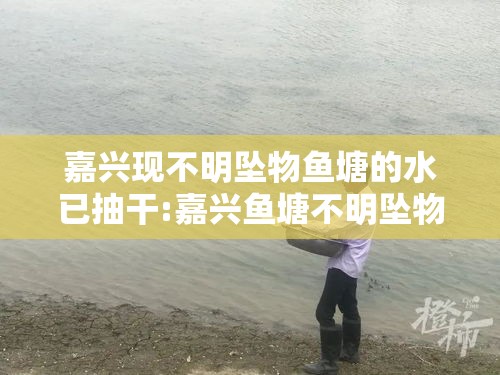 嘉兴现不明坠物鱼塘的水已抽干:嘉兴鱼塘不明坠物找到了吗 嘉兴现不明坠物鱼塘的水已抽干:嘉兴鱼塘不明坠物找到了吗
