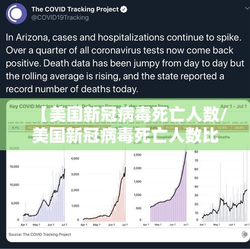 【美国新冠病毒死亡人数/美国新冠病毒死亡人数比例】 【美国新冠病毒死亡人数/美国新冠病毒死亡人数比例】