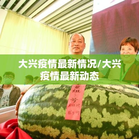 大兴疫情最新情况/大兴疫情最新动态 大兴疫情最新情况/大兴疫情最新动态