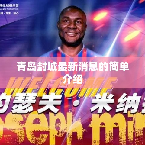 青岛封城最新消息的简单介绍 青岛封城最新消息的简单介绍