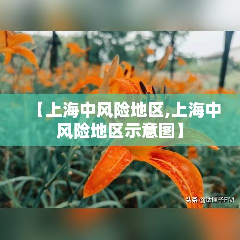 【上海中风险地区,上海中风险地区示意图】 【上海中风险地区,上海中风险地区示意图】