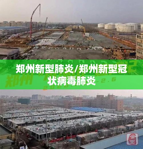 郑州新型肺炎/郑州新型冠状病毒肺炎