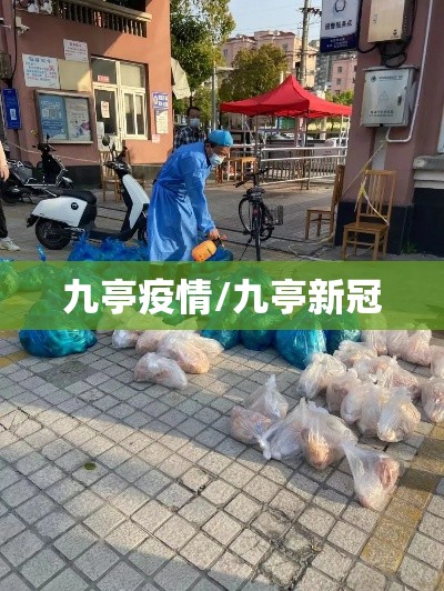 九亭疫情/九亭新冠 九亭疫情/九亭新冠