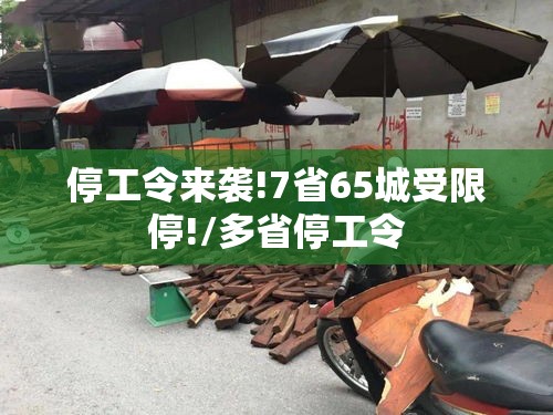 停工令来袭!7省65城受限停!/多省停工令 停工令来袭!7省65城受限停!/多省停工令