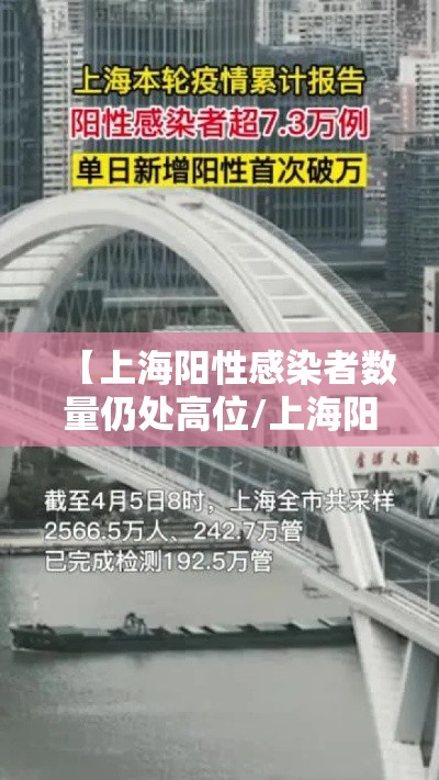 【上海阳性感染者数量仍处高位/上海阳性患者】 【上海阳性感染者数量仍处高位/上海阳性患者】