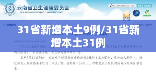 31省新增本土9例/31省新增本土31例 31省新增本土9例/31省新增本土31例