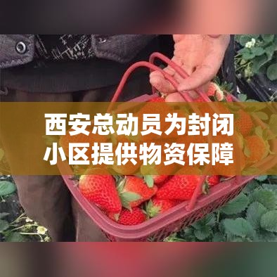 西安总动员为封闭小区提供物资保障/西安总动员为封闭小区提供物资保障吗 西安总动员为封闭小区提供物资保障/西安总动员为封闭小区提供物资保障吗