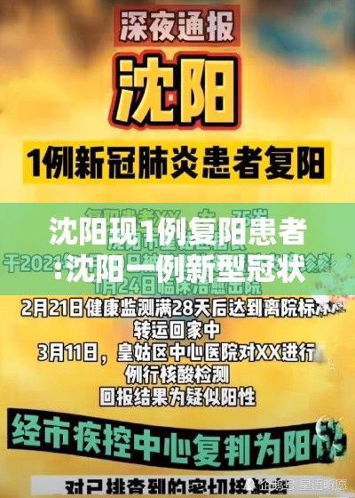 沈阳现1例复阳患者:沈阳一例新型冠状病毒复阳 沈阳现1例复阳患者:沈阳一例新型冠状病毒复阳