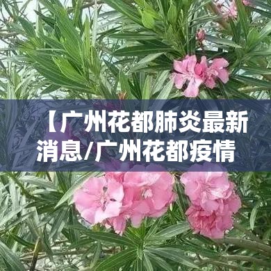 【广州花都肺炎最新消息/广州花都疫情最新公布】 【广州花都肺炎最新消息/广州花都疫情最新公布】