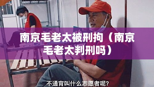 南京毛老太被刑拘（南京毛老太判刑吗）