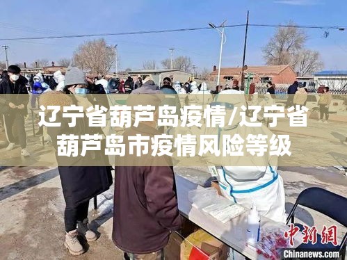 辽宁省葫芦岛疫情/辽宁省葫芦岛市疫情风险等级