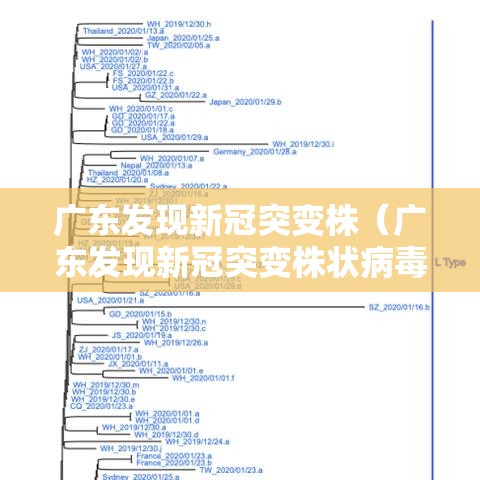 广东发现新冠突变株（广东发现新冠突变株状病毒）