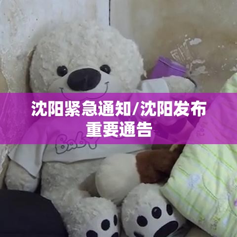 沈阳紧急通知/沈阳发布重要通告 沈阳紧急通知/沈阳发布重要通告