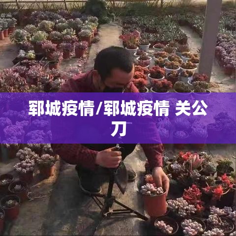 郓城疫情/郓城疫情 关公刀 郓城疫情/郓城疫情 关公刀