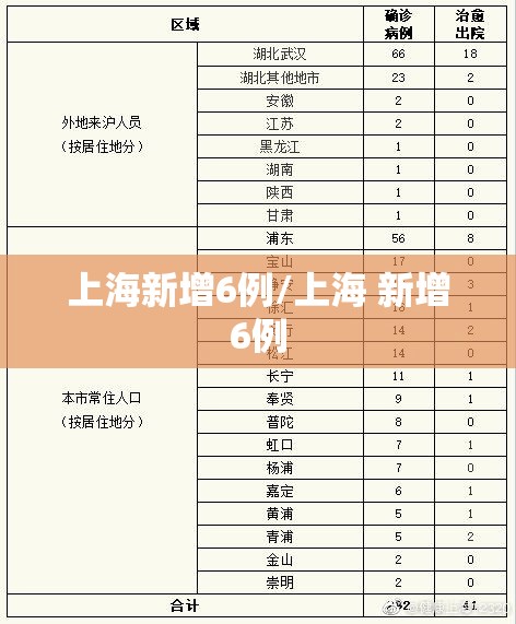 上海新增6例/上海 新增6例 上海新增6例/上海 新增6例