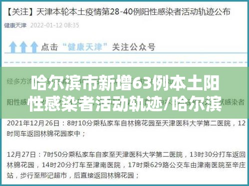 哈尔滨市新增63例本土阳性感染者活动轨迹/哈尔滨新增本土确诊6例活动轨迹 哈尔滨市新增63例本土阳性感染者活动轨迹/哈尔滨新增本土确诊6例活动轨迹