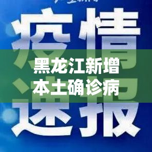 黑龙江新增本土确诊病例29例:黑龙江新增本土确诊病例29例是哪里的