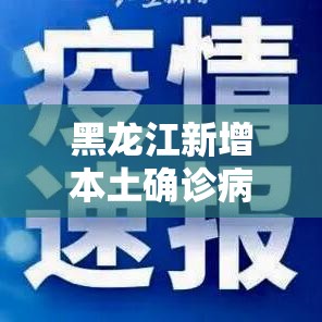 黑龙江新增本土确诊病例10例:黑龙江新增本土确诊病例5例 黑龙江新增本土确诊病例10例:黑龙江新增本土确诊病例5例