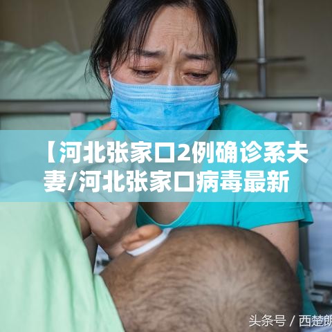 【河北张家口2例确诊系夫妻/河北张家口病毒最新消息】 【河北张家口2例确诊系夫妻/河北张家口病毒最新消息】