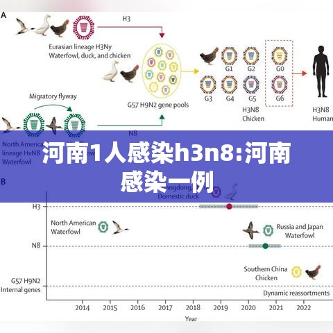 河南1人感染h3n8:河南感染一例 河南1人感染h3n8:河南感染一例