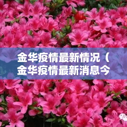 金华疫情最新情况(金华疫情最新消息今天新增病例) 金华疫情最新情况(金华疫情最新消息今天新增病例)