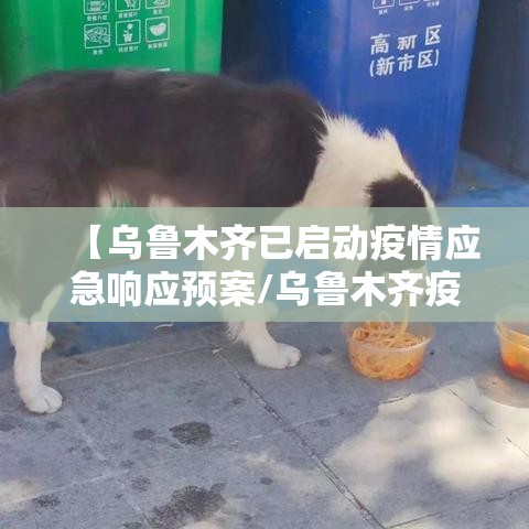【乌鲁木齐已启动疫情应急响应预案/乌鲁木齐疫情政府通知】 【乌鲁木齐已启动疫情应急响应预案/乌鲁木齐疫情政府通知】