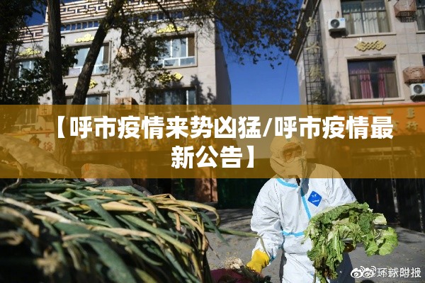 【呼市疫情来势凶猛/呼市疫情最新公告】 【呼市疫情来势凶猛/呼市疫情最新公告】