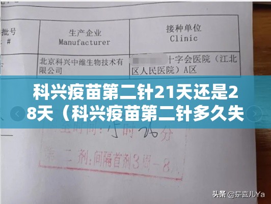 科兴疫苗第二针21天还是28天(科兴疫苗第二针多久失效) 科兴疫苗第二针21天还是28天(科兴疫苗第二针多久失效)