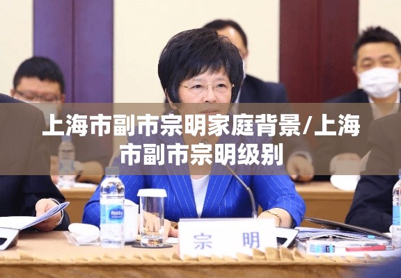上海市副市宗明家庭背景/上海市副市宗明级别 上海市副市宗明家庭背景/上海市副市宗明级别