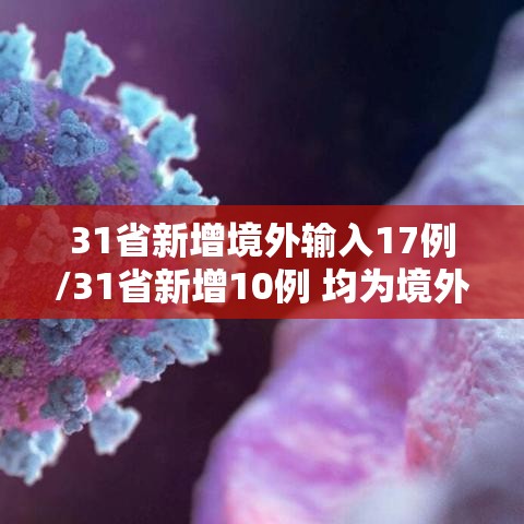 31省新增境外输入17例/31省新增10例 均为境外输入 31省新增境外输入17例/31省新增10例 均为境外输入