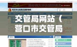 交管局网站(营口市交管局网站) 交管局网站(营口市交管局网站)