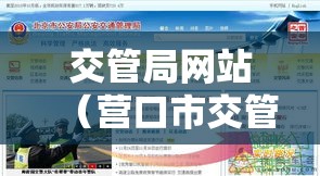 交管局网站(营口市交管局网站) 交管局网站(营口市交管局网站)