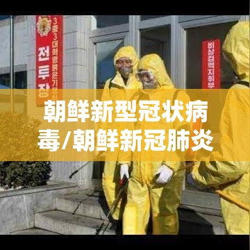 朝鲜新型冠状病毒/朝鲜新冠肺炎病毒