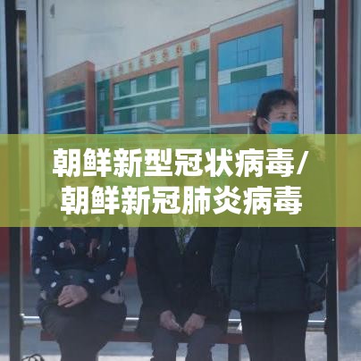 朝鲜新型冠状病毒/朝鲜新冠肺炎病毒