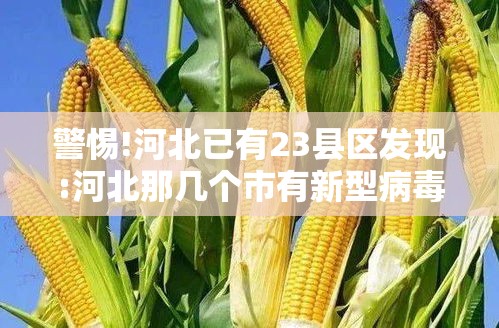 警惕!河北已有23县区发现:河北那几个市有新型病毒感染了 警惕!河北已有23县区发现:河北那几个市有新型病毒感染了