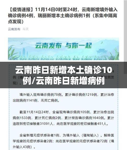 云南昨日新增本土确诊10例/云南昨日新增病例 云南昨日新增本土确诊10例/云南昨日新增病例