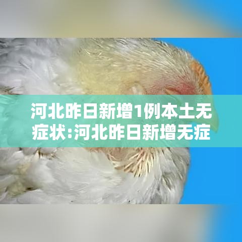 河北昨日新增1例本土无症状:河北昨日新增无症状感染者