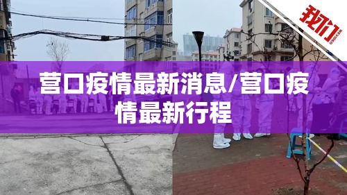 营口疫情最新消息/营口疫情最新行程 营口疫情最新消息/营口疫情最新行程
