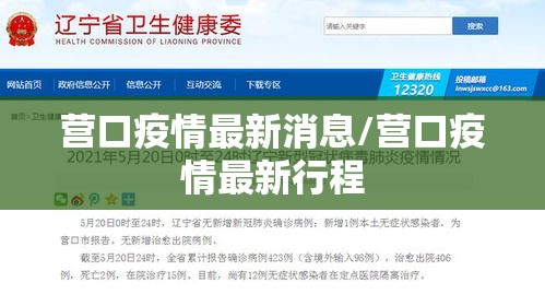营口疫情最新消息/营口疫情最新行程 营口疫情最新消息/营口疫情最新行程