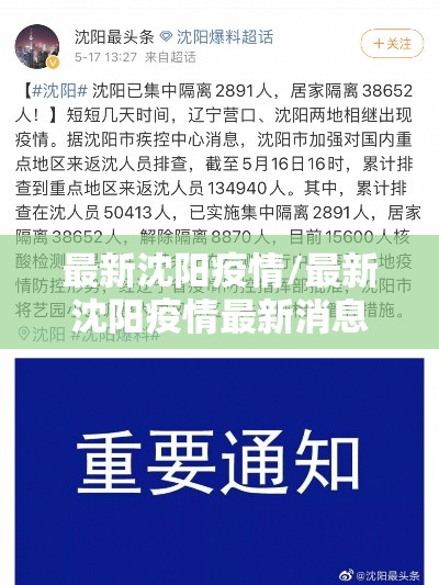 最新沈阳疫情/最新沈阳疫情最新消息 最新沈阳疫情/最新沈阳疫情最新消息