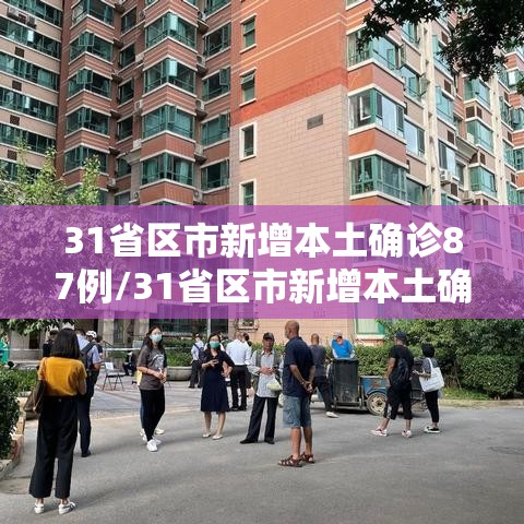 31省区市新增本土确诊87例/31省区市新增本土确诊90例 31省区市新增本土确诊87例/31省区市新增本土确诊90例