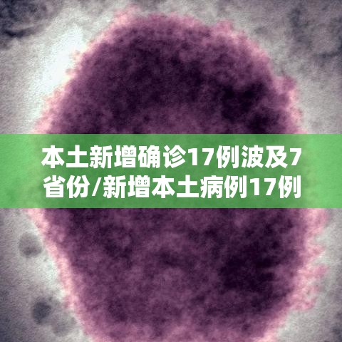 本土新增确诊17例波及7省份/新增本土病例17例 本土新增确诊17例波及7省份/新增本土病例17例