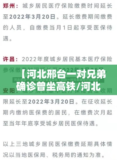 【河北邢台一对兄弟确诊曾坐高铁/河北邢台确诊病例行程轨迹】 【河北邢台一对兄弟确诊曾坐高铁/河北邢台确诊病例行程轨迹】
