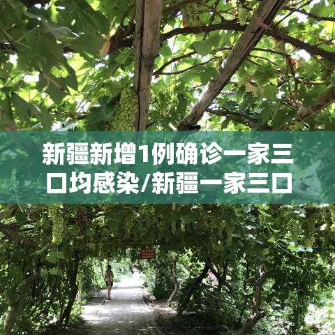 新疆新增1例确诊一家三口均感染/新疆一家三口感染新冠 新疆新增1例确诊一家三口均感染/新疆一家三口感染新冠
