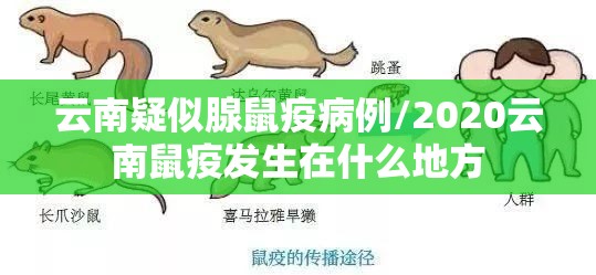 云南疑似腺鼠疫病例/2020云南鼠疫发生在什么地方