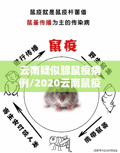 云南疑似腺鼠疫病例/2020云南鼠疫发生在什么地方