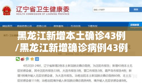 【汽车违规记录查询/汽车违规记录查询系统】