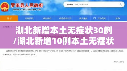 湖北新增本土无症状30例/湖北新增10例本土无症状 湖北新增本土无症状30例/湖北新增10例本土无症状
