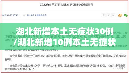 湖北新增本土无症状30例/湖北新增10例本土无症状 湖北新增本土无症状30例/湖北新增10例本土无症状